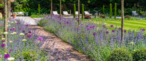 West Byfleet garden landscaping for domestic customer