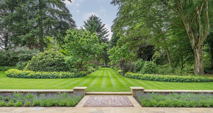 tree management for historic estates - Bluefish Landscaping